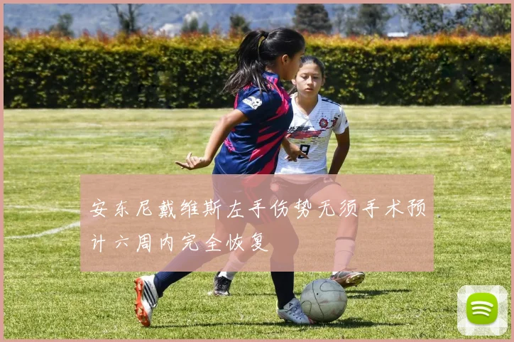 安东尼戴维斯左手伤势无须手术预计六周内完全恢复