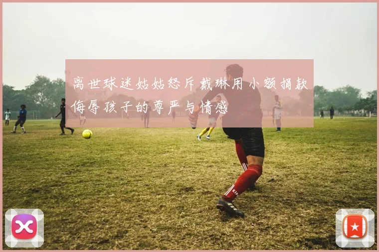离世球迷姑姑怒斥戴琳用小额捐款侮辱孩子的尊严与情感