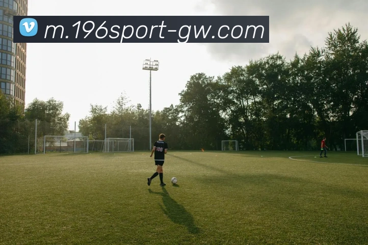 196体育平台生态图